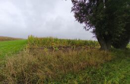 Teren intravilan, 5200mp, front 27ml, Fratautii Vechi, Radauti