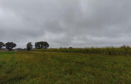 Teren de vânzare Horodnic - 173116TV | BLITZ Suceava | Poza3