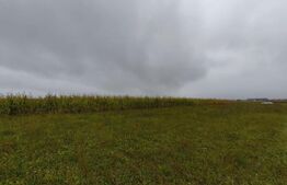 Teren de vânzare Est - 147334TV | BLITZ Suceava | Poza3