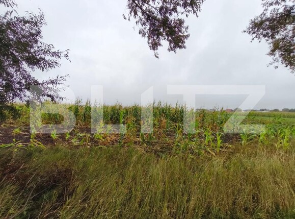 Teren de vânzare Fratautii Vechi - 178369TV | BLITZ Suceava | Poza4