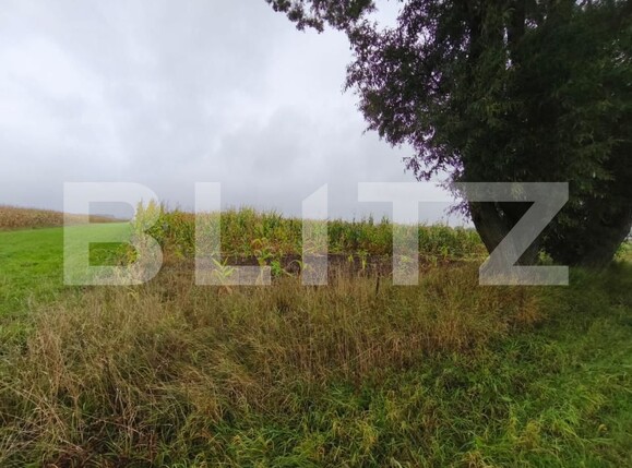 Teren de vânzare Fratautii Vechi - 178369TV | BLITZ Suceava | Poza2