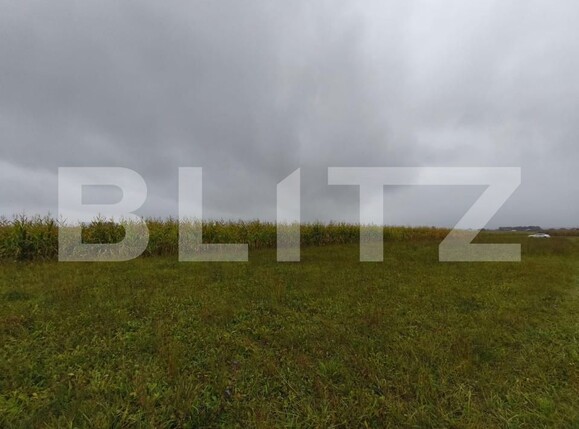 Teren de vânzare Fratautii Vechi - 178369TV | BLITZ Suceava | Poza3