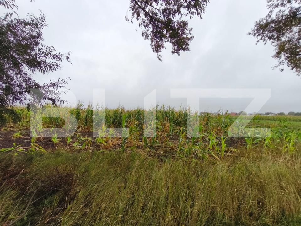 Teren de vânzare Fratautii Vechi - 178369TV | BLITZ Suceava | Poza4