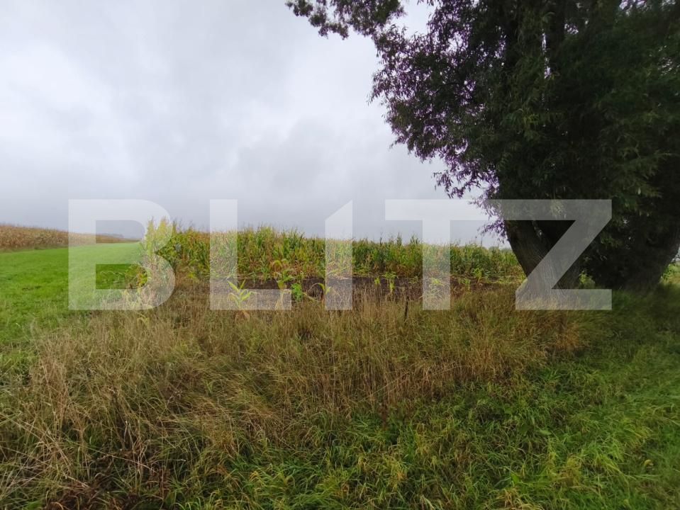 Teren de vânzare Fratautii Vechi - 178369TV | BLITZ Suceava | Poza2