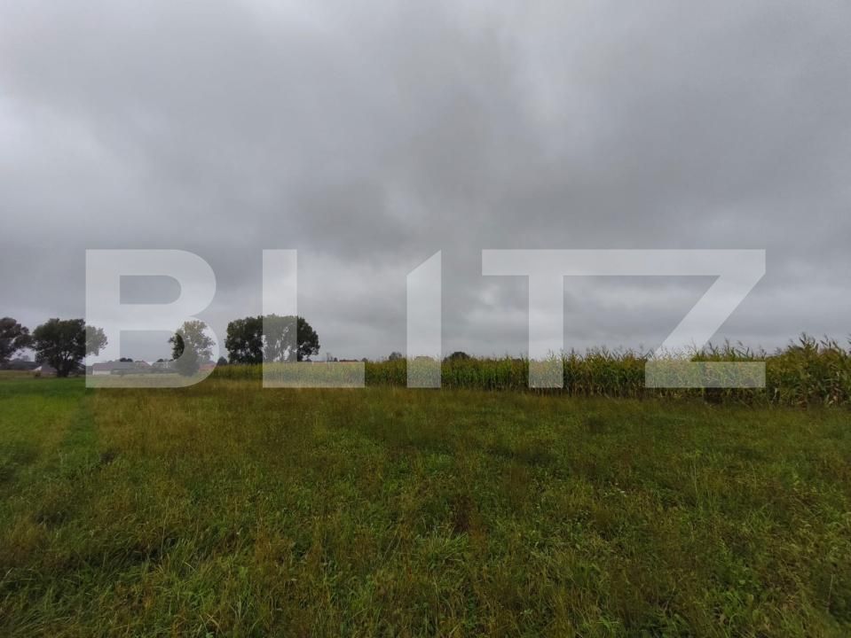 Teren de vânzare Fratautii Vechi - 178369TV | BLITZ Suceava | Poza3