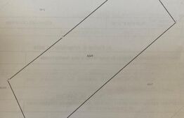 Teren de vânzare Vama - 154221TV | BLITZ Suceava | Poza2