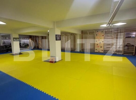 Spațiu comercial de vânzare Radauti - 178493SVC | BLITZ Suceava | Poza3