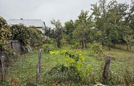 Casa batraneasca, 65 mp si teren intravilan 5600 mp, Adancata