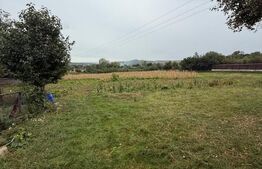 Casa batraneasca, 65 mp si teren intravilan 5600 mp, Adancata