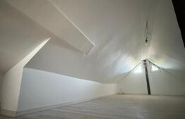 Casa cu etaj + demisol, 180 mp utili, 300 mp teren, zona Burdujeni