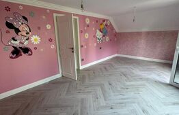 Casa cu etaj + demisol, 180 mp utili, 300 mp teren, zona Burdujeni