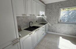 Casa cu etaj + demisol, 180 mp utili, 300 mp teren, zona Burdujeni