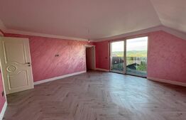 Casa cu etaj + demisol, 180 mp utili, 300 mp teren, zona Burdujeni