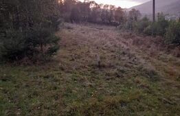 Teren intravilan de vanzare, 2280 mp, Vatra Dornei