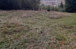 Teren intravilan de vanzare, 2280 mp, Vatra Dornei