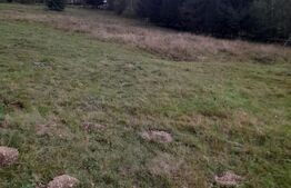 Teren intravilan de vanzare, 2280 mp, Vatra Dornei