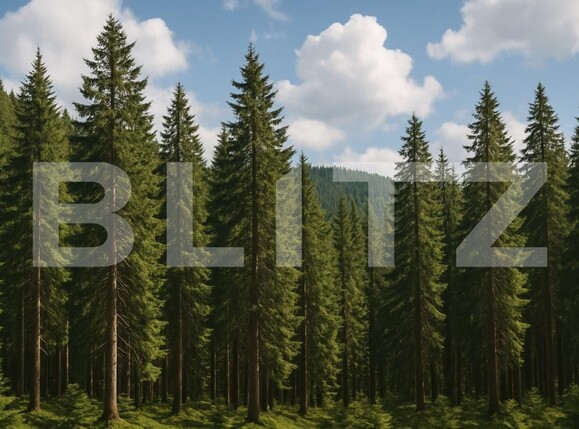 Teren de vânzare Exterior Vest - 178680TV | BLITZ Suceava | Poza1