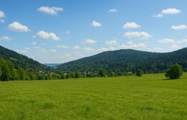 Teren intravilan de vanzare, 5872 mp, pe strada Chilia-Vatra Dornei