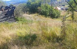 Teren intravilan de vanzare, 5872 mp, pe strada Chilia-Vatra Dornei