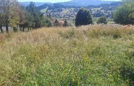 Teren intravilan de vanzare, 5872 mp, pe strada Chilia-Vatra Dornei