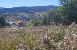 Teren intravilan de vanzare, 5872 mp, pe strada Chilia-Vatra Dornei