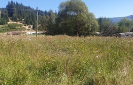 Teren intravilan de vanzare, 5872 mp, pe strada Chilia-Vatra Dornei