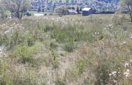 Teren intravilan de vanzare, 5872 mp, pe strada Chilia-Vatra Dornei