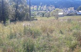 Teren intravilan de vanzare, 5872 mp, pe strada Chilia-Vatra Dornei