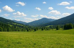 Teren intravilan de vanzare, 7.000 mp, Vatra Dornei