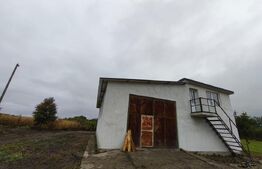 Hala + teren 8000mp de inchiriat, zona Manastioara, Siret