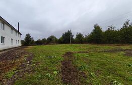 Hala + teren 8000mp de inchiriat, zona Manastioara, Siret