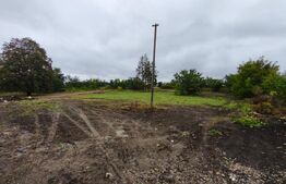 Hala + teren 8000mp de inchiriat, zona Manastioara, Siret