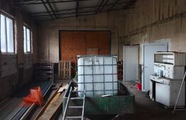 Hala + teren 8000mp de inchiriat, zona Manastioara, Siret