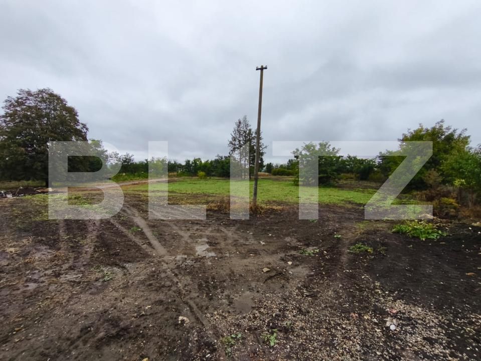 Spațiu industrial de închiriat Siret - 178825SII | BLITZ Suceava | Poza7