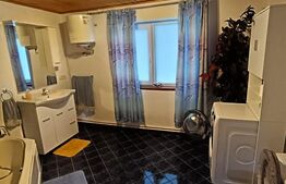 1 casă 160mp + 1 casă 110mp + garaj, pe teren 9ari, zonă centrală