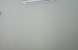 1 casă 160mp + 1 casă 110mp + garaj, pe teren 9ari, zonă centrală