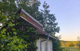 Casa individuala, 3500mp teren, zona Negostina, Siret