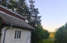Casa individuala, 3500mp teren, zona Negostina, Siret