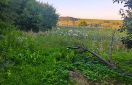 Casa individuala, 3500mp teren, zona Negostina, Siret