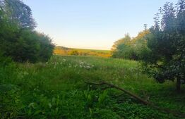 Casa individuala, 3500mp teren, zona Negostina, Siret