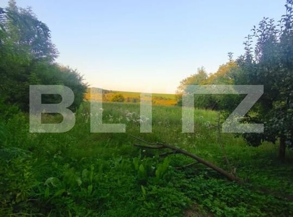 Casa de vânzare 2 camere Negostina - 179338CV | BLITZ Suceava | Poza5