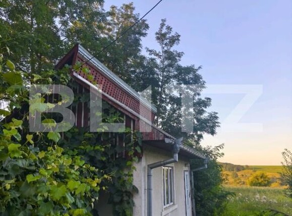 Casa de vânzare 2 camere Negostina - 179338CV | BLITZ Suceava | Poza4