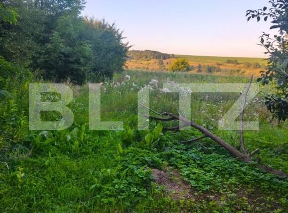 Casa de vânzare 2 camere Negostina - 179338CV | BLITZ Suceava | Poza6