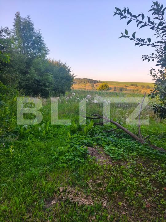 Casa de vânzare 2 camere Negostina - 179338CV | BLITZ Suceava | Poza6