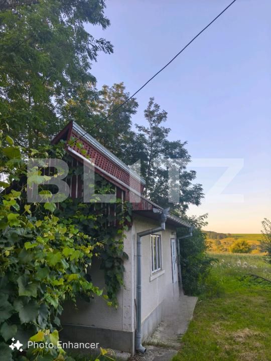 Casa de vânzare 2 camere Negostina - 179338CV | BLITZ Suceava | Poza4