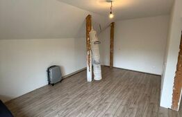 Casa D+P+M, 225 mp utili, 300 mp teren, zona Burdujeni