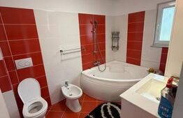 Casa D+P+M, 225 mp utili, 300 mp teren, zona Burdujeni