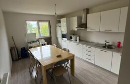 Casa D+P+M, 225 mp utili, 300 mp teren, zona Burdujeni