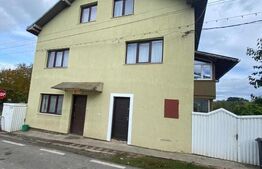 Casa individuala, 300 mp, Salcea