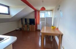 Casa individuala, 300 mp, Salcea